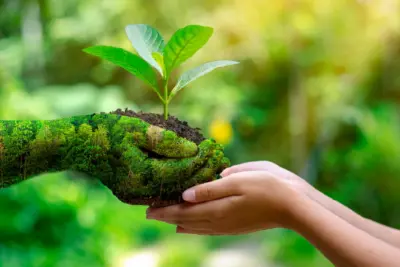 Acciones individuales para un futuro ecológico sostenible