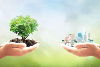 Principios del desarrollo sustentable y su aplicación