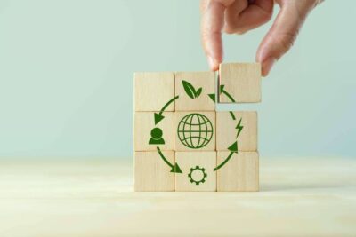 Expertos en conciencia ambiental y sostenibilidad: ¿quién y qué hacen?
