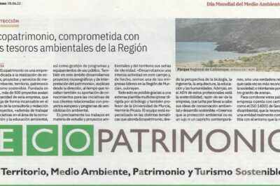 Cuidado diario del planeta: promoviendo el respeto por la naturaleza