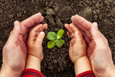 Cuidando nuestro planeta: claves para una conciencia ecológica
