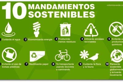 Beneficios de la conciencia ambiental para el planeta y las personas