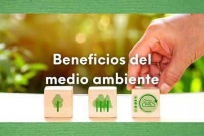 Prácticas ecológicas efectivas para tu día a día