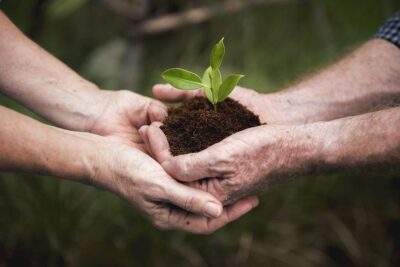 Estrategias para el desarrollo sustentable: un enfoque integral