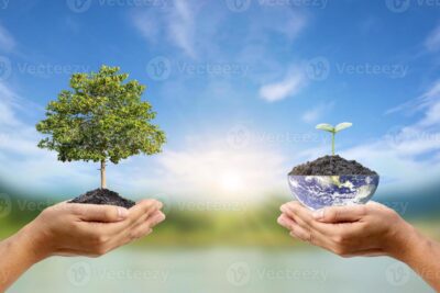 El impacto de la conciencia ambiental en la sociedad