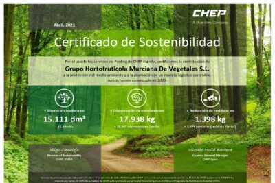La dimensión ecológica y su impacto en nuestra vida diaria