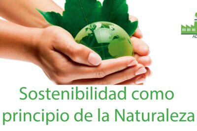 Prácticas para preservar el medio ambiente y cuidar el planeta