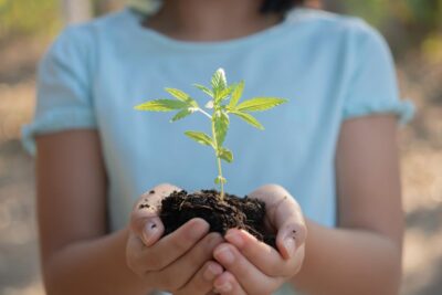 Vivir en armonía con la naturaleza: consejos sostenibles