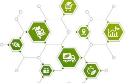 Estrategias para fomentar comportamientos ecológicos responsables