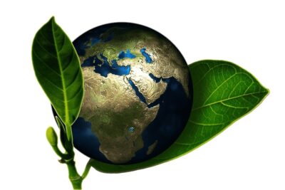 Importancia del desarrollo sustentable en la sociedad actual y futuro