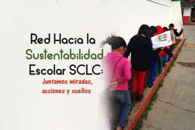 El impacto de la sustentabilidad social: beneficios y desafíos