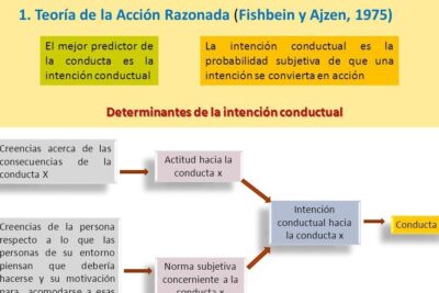 Principales teorías sobre las actitudes: una mirada en profundidad