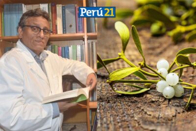 Psicoterapia antroposófica: una mirada holística al bienestar