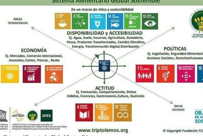 Entendiendo la transformación y su aplicación en diferentes ámbitos