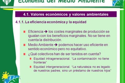 La importancia de los valores en la preservación del medio ambiente