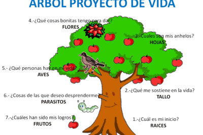 La importancia de los valores en mi proyecto de vida