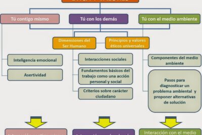 Reflexión sobre el impacto de los valores universales en nuestra vida