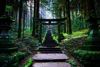 Los valores morales y espirituales en nuestra vida diaria