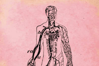 Medicina antroposófica: visión holística de la salud y el bienestar